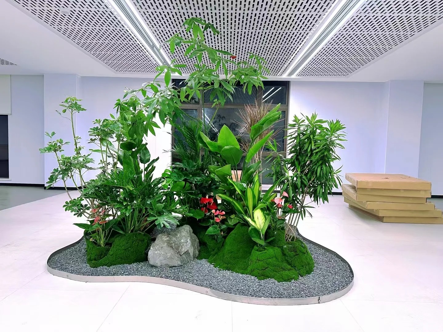 专业植物租赁，助力宁波海曙打造清新天地