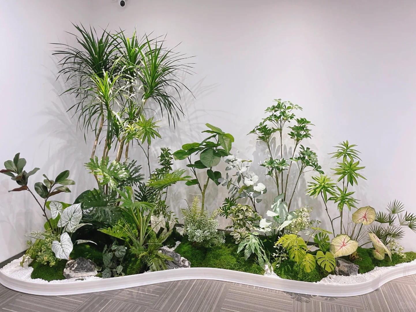 专业植物租赁，助力宁波海曙打造清新天地